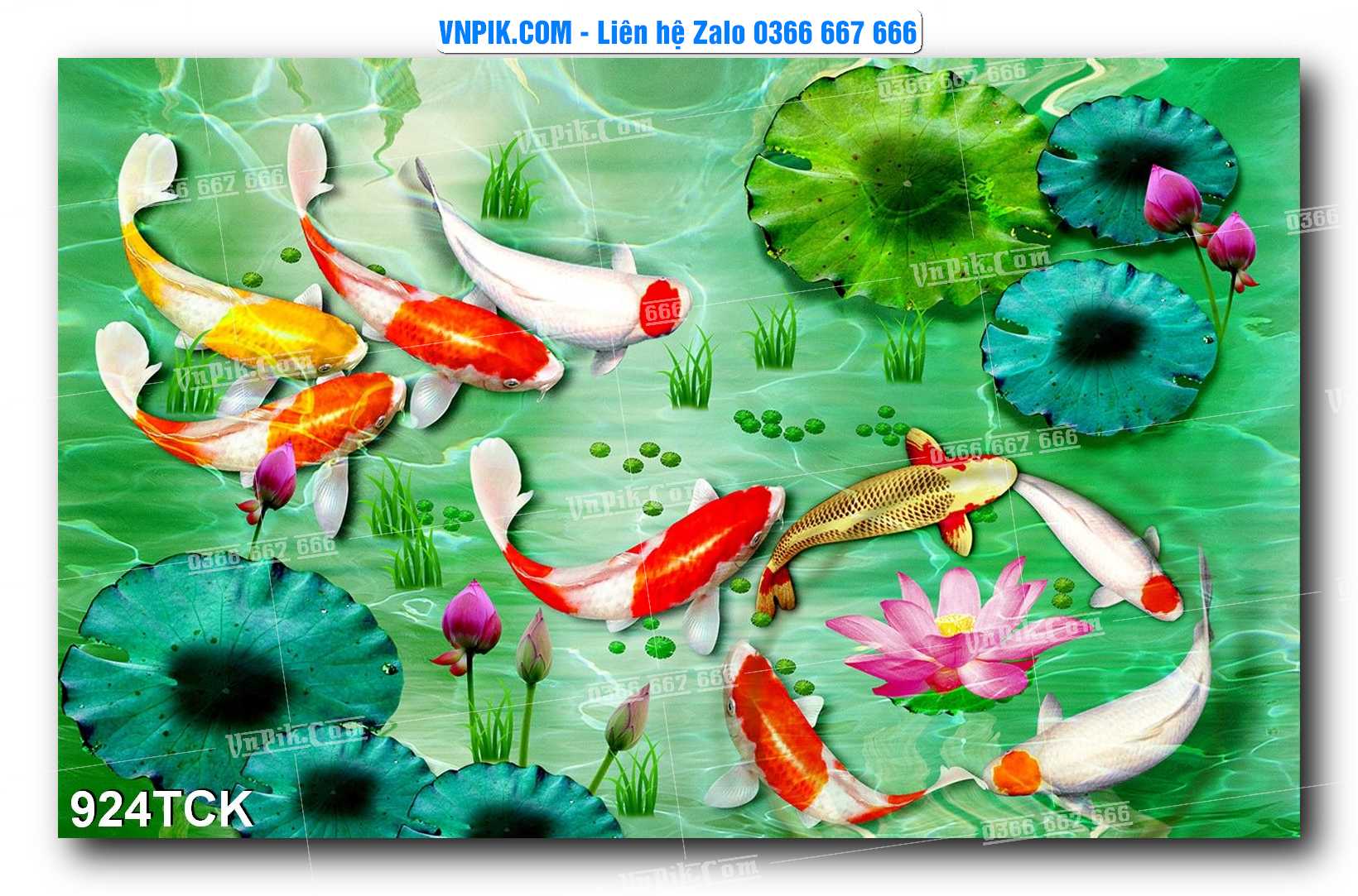 Tranh Hoa Sen – Cá Koi – Cá Chép 924TCK