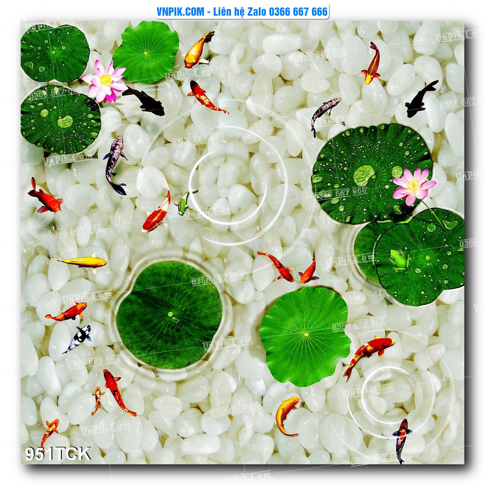 Tranh Hoa Sen – Cá Koi – Cá Chép 951TCK
