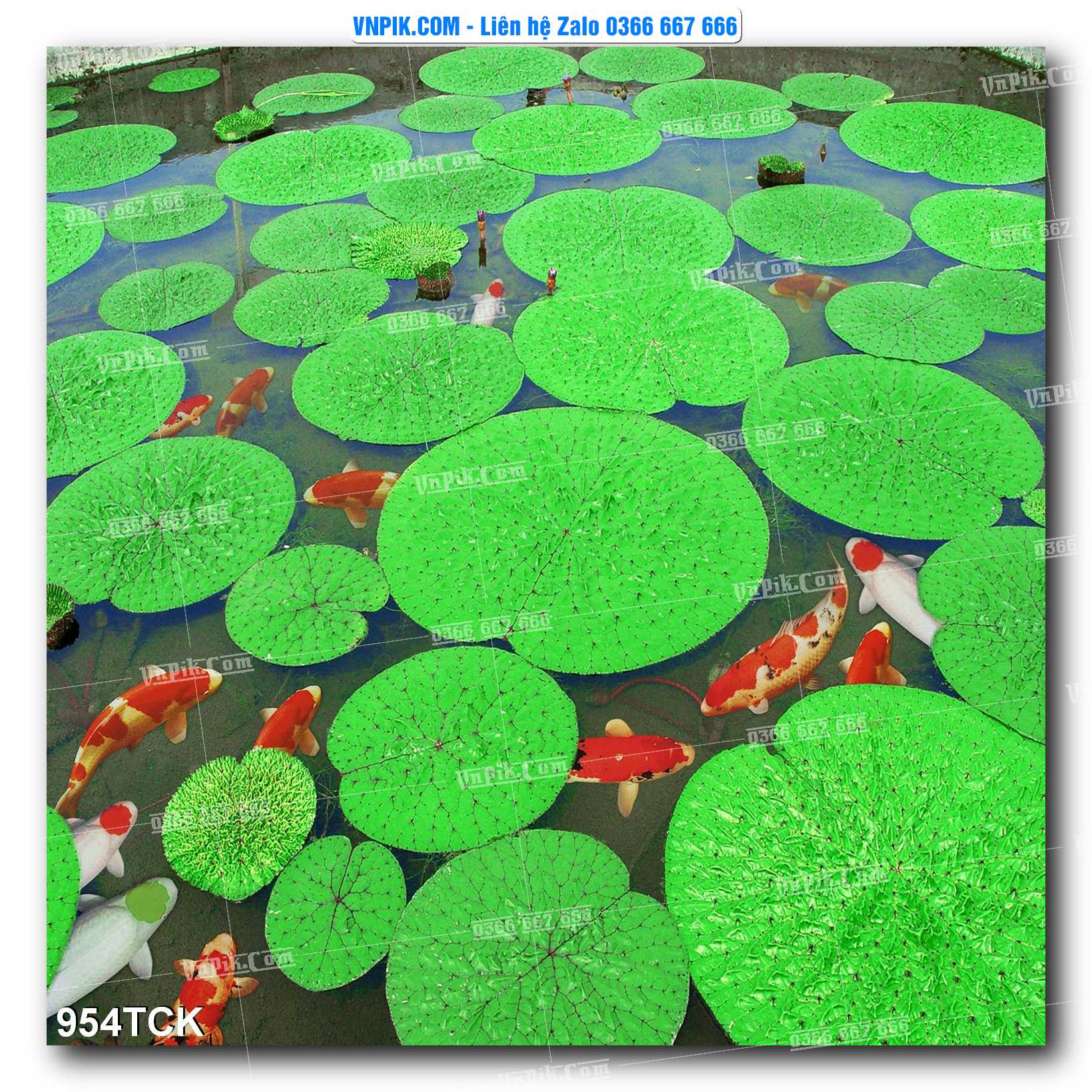 Tranh Hoa Sen – Cá Koi – Cá Chép 954TCK