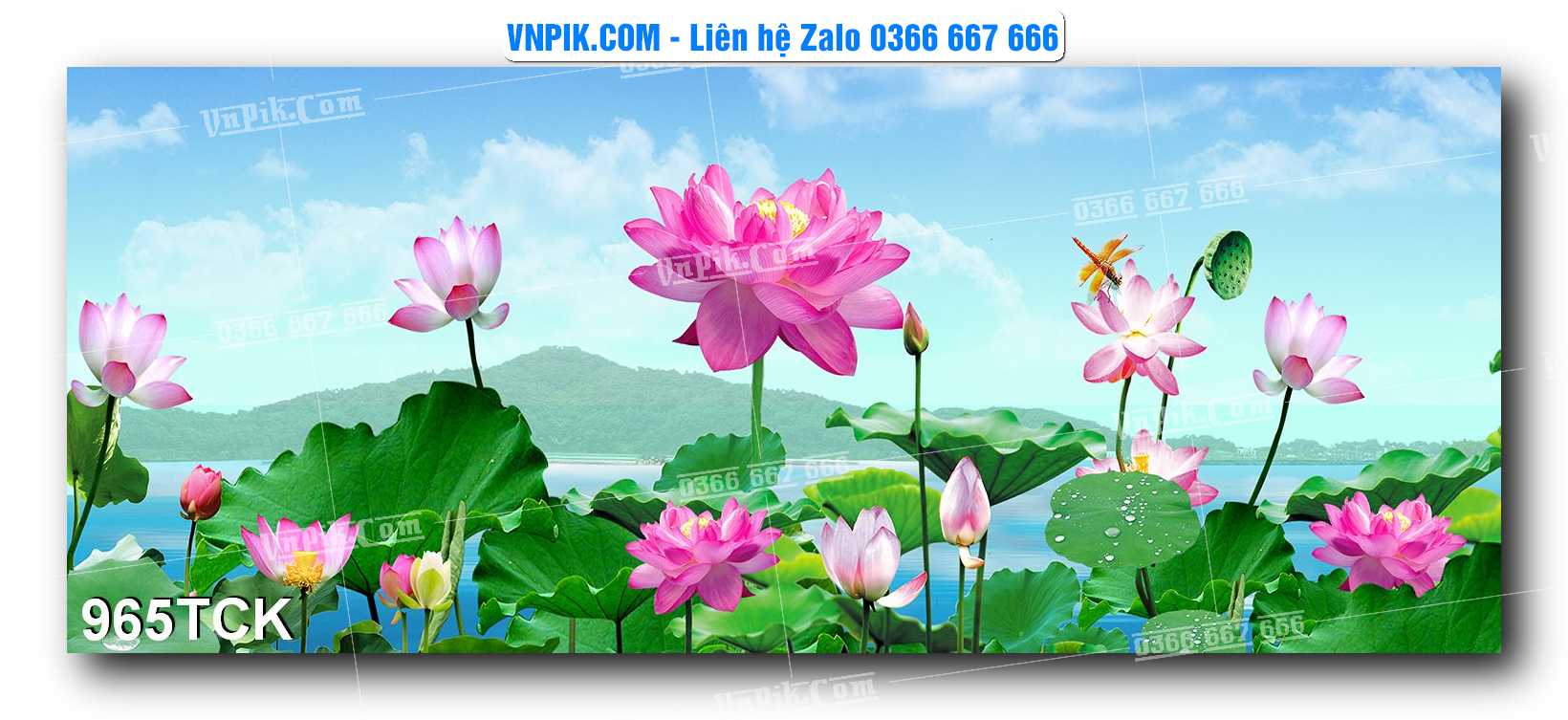Tranh Hoa Sen – Cá Koi – Cá Chép 962TCK