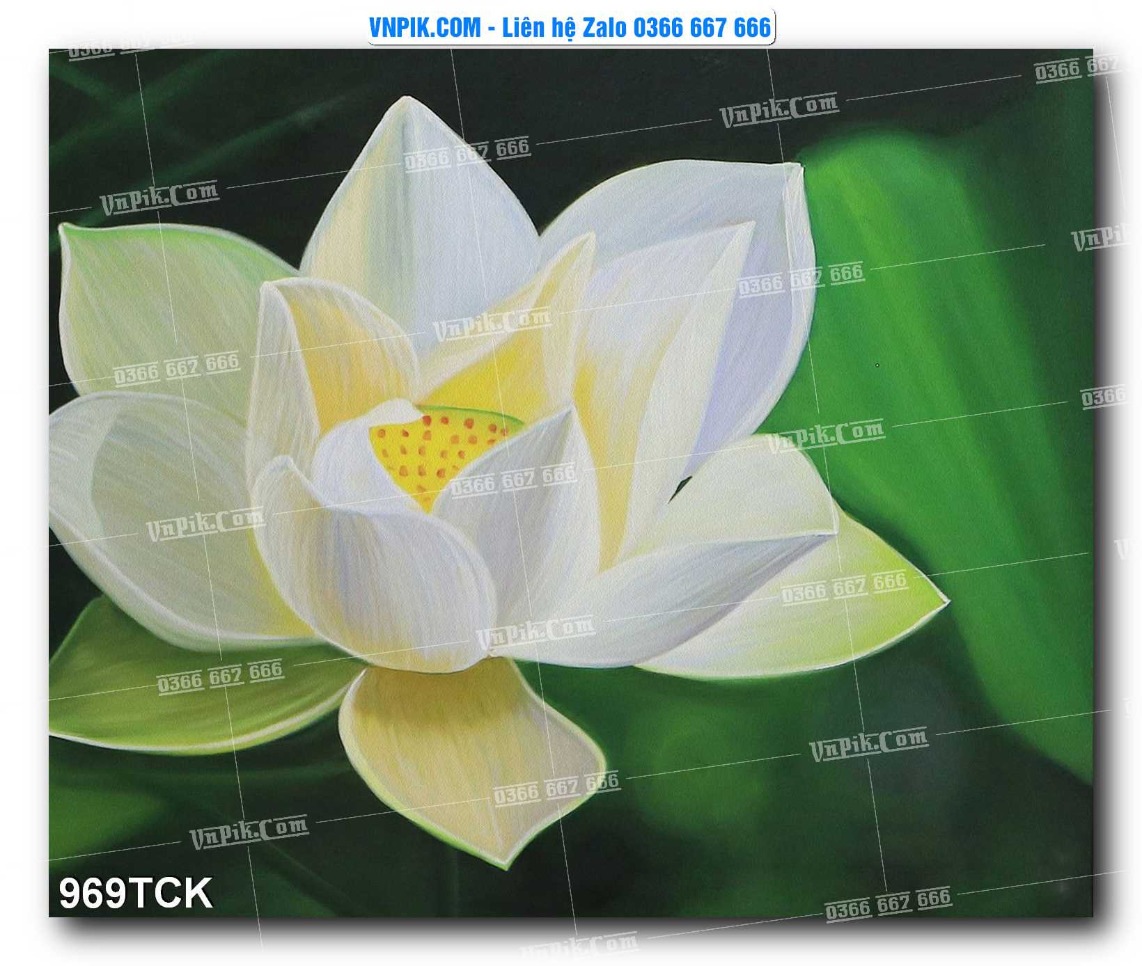 Tranh Hoa Sen – Cá Koi – Cá Chép 969TCK