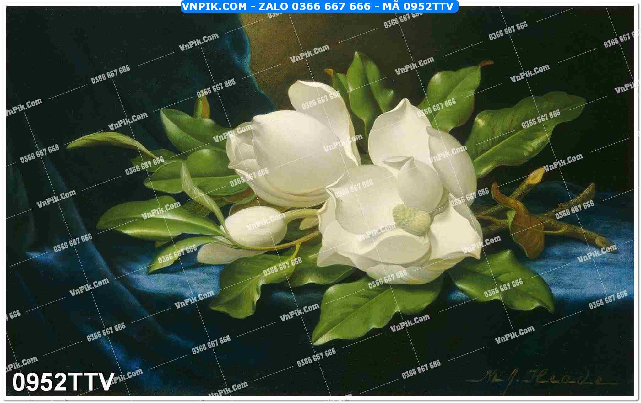 Tranh sơn dầu tĩnh vật hoa quả mã file 0952TTV