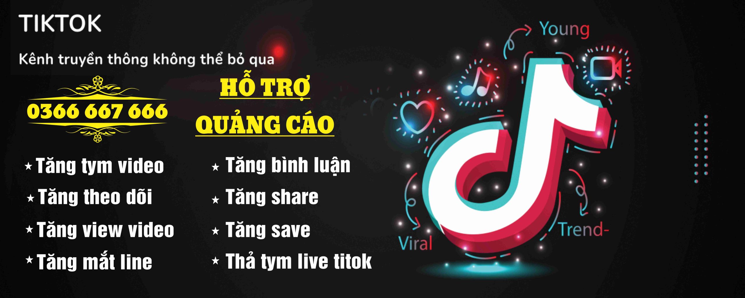Ảnh 4