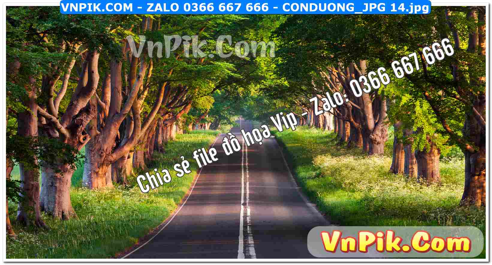Mẫu tranh con đường file tranh treo tường mã file Conduong_jpg 14