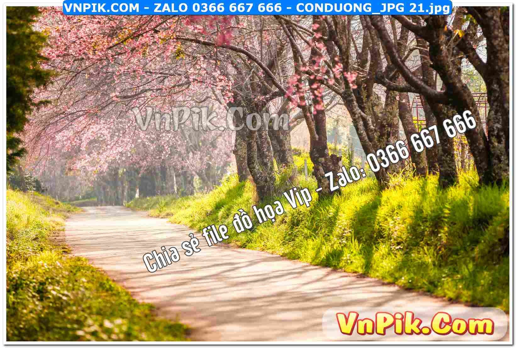 Mẫu tranh con đường file tranh treo tường mã file Conduong_jpg 21