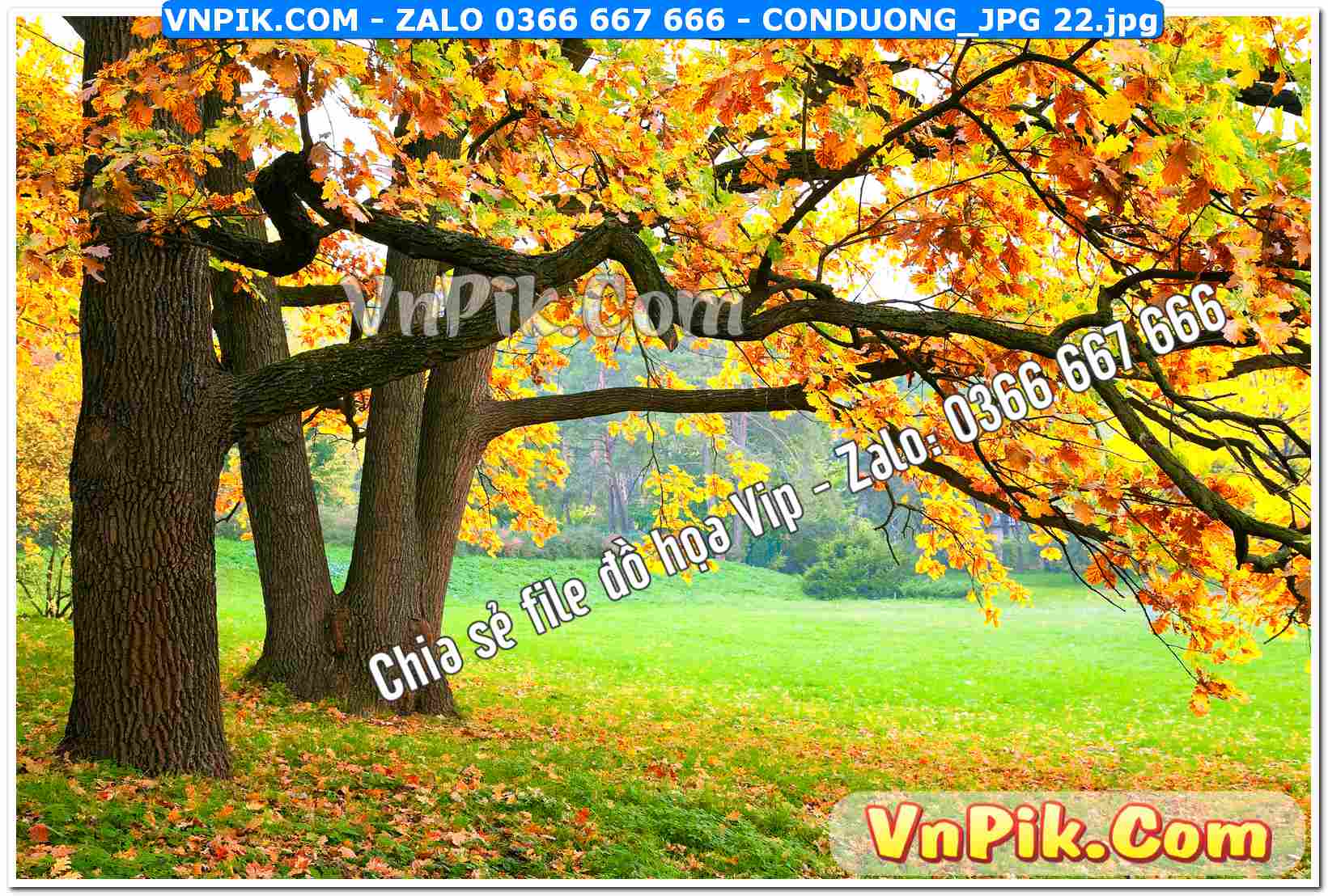Mẫu tranh con đường file tranh treo tường mã file Conduong_jpg 22