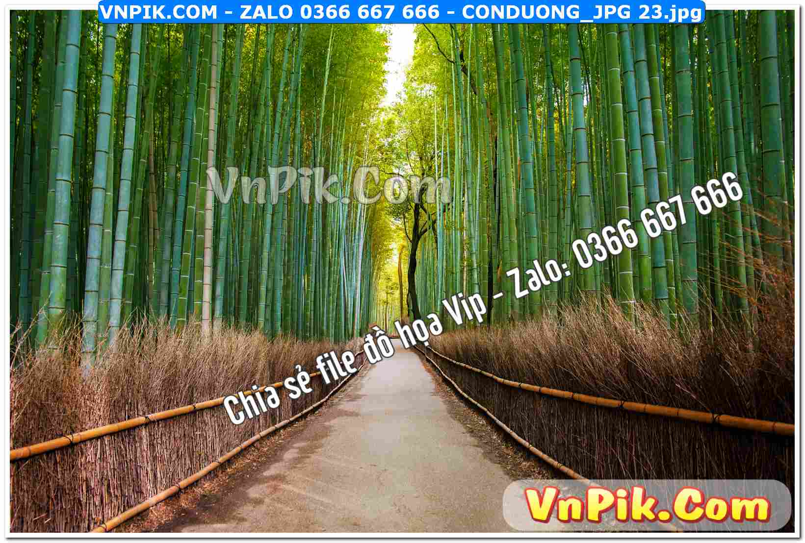 Mẫu tranh con đường file tranh treo tường mã file Conduong_jpg 23