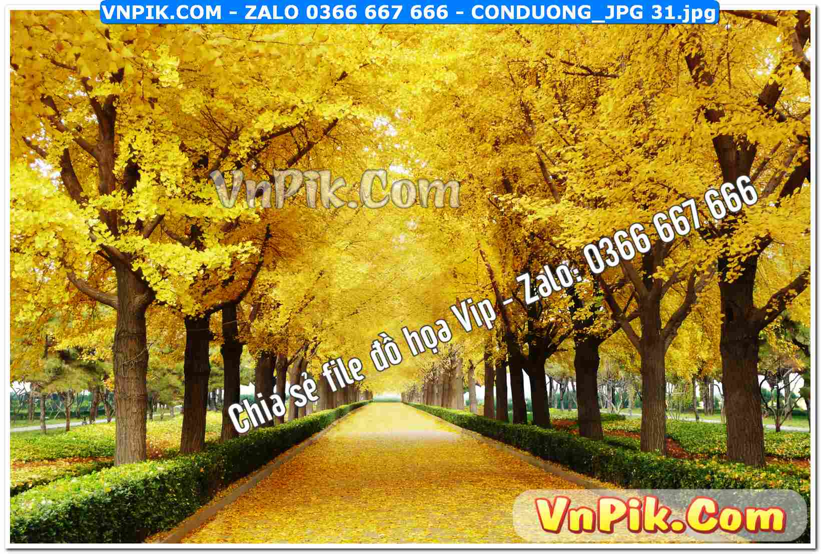 Mẫu tranh con đường file tranh treo tường mã file Conduong_jpg 31