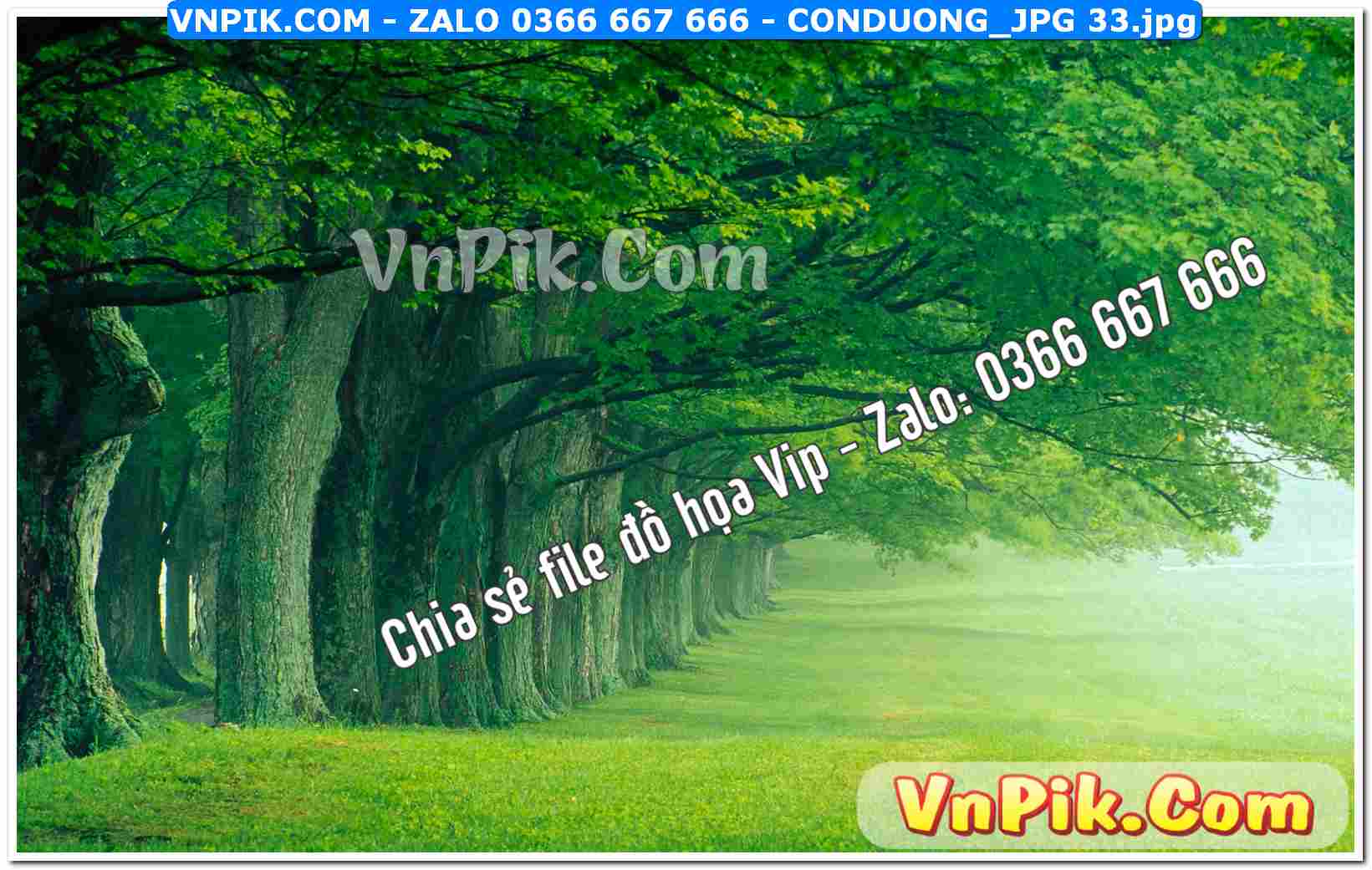 Mẫu tranh con đường file tranh treo tường mã file Conduong_jpg 33