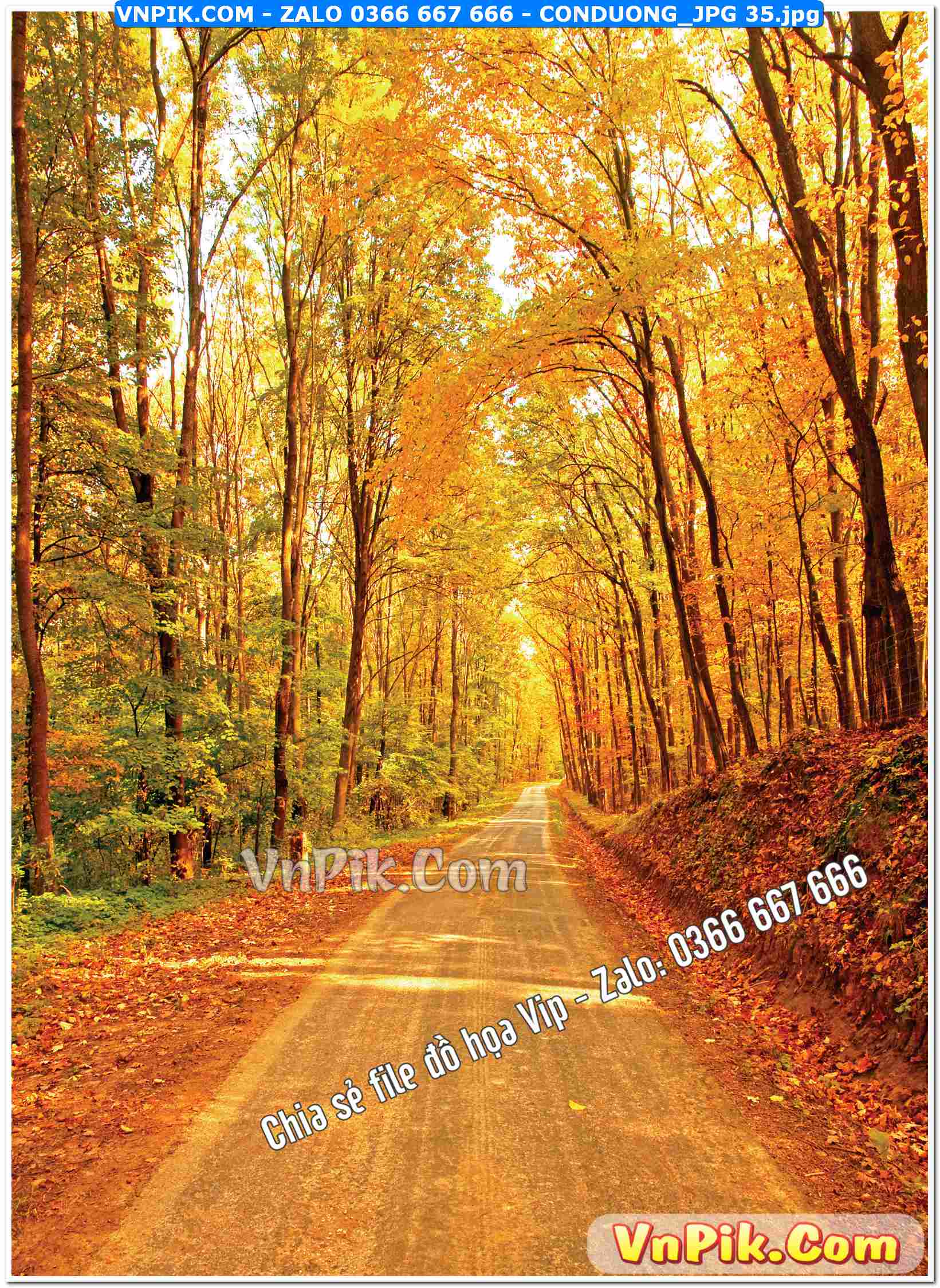 Mẫu tranh con đường file tranh treo tường mã file Conduong_jpg 35