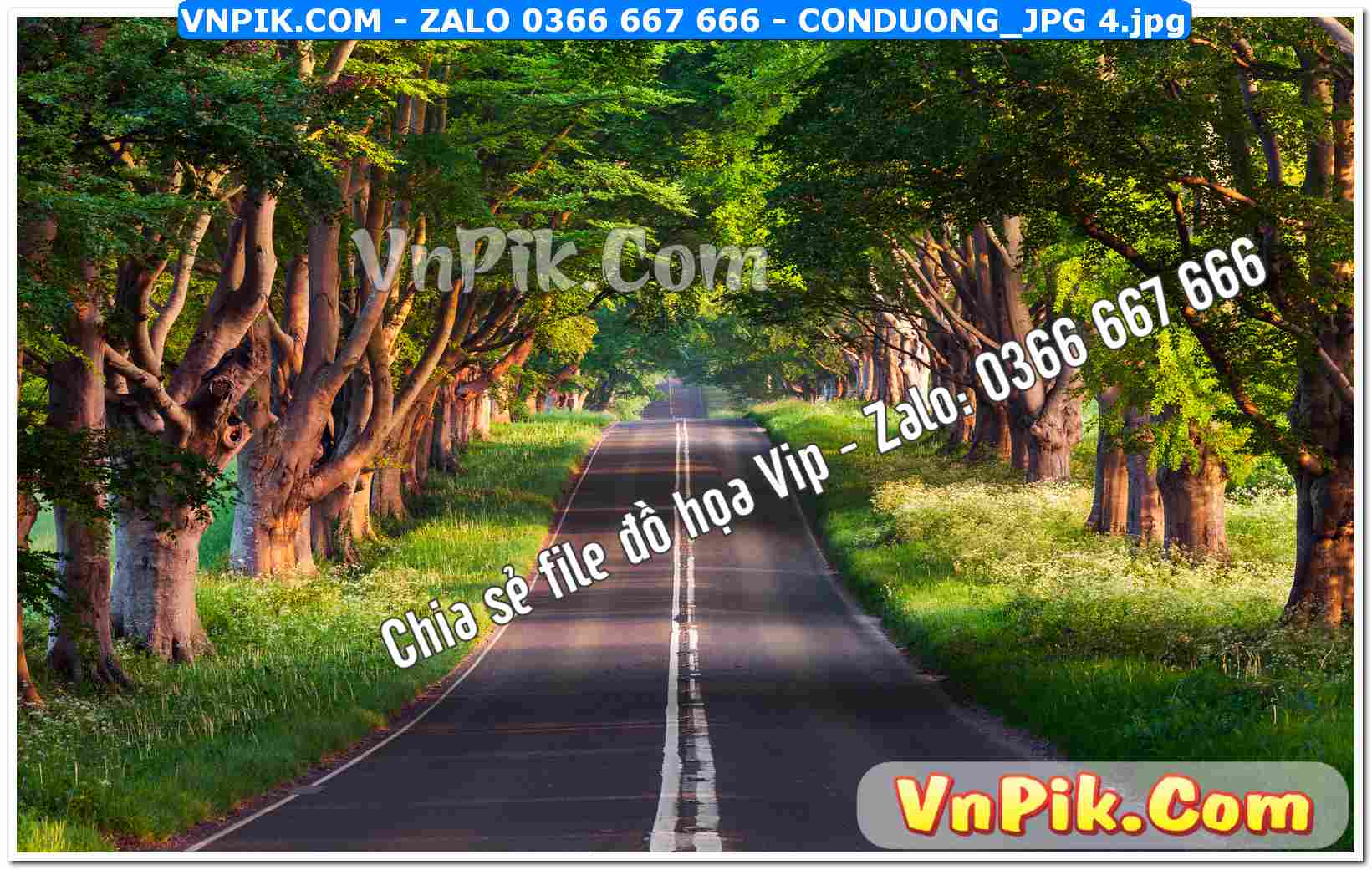 Mẫu tranh con đường file tranh treo tường mã file Conduong_jpg 4
