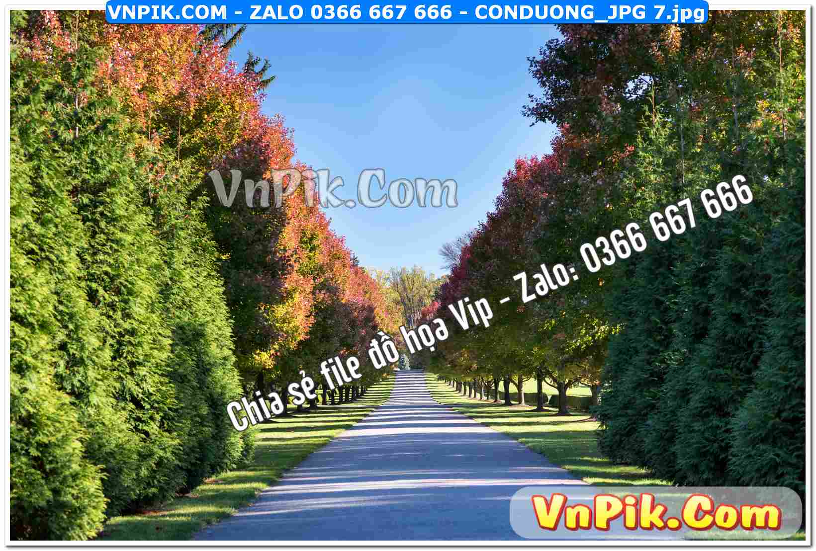 Mẫu tranh con đường file tranh treo tường mã file Conduong_jpg 7