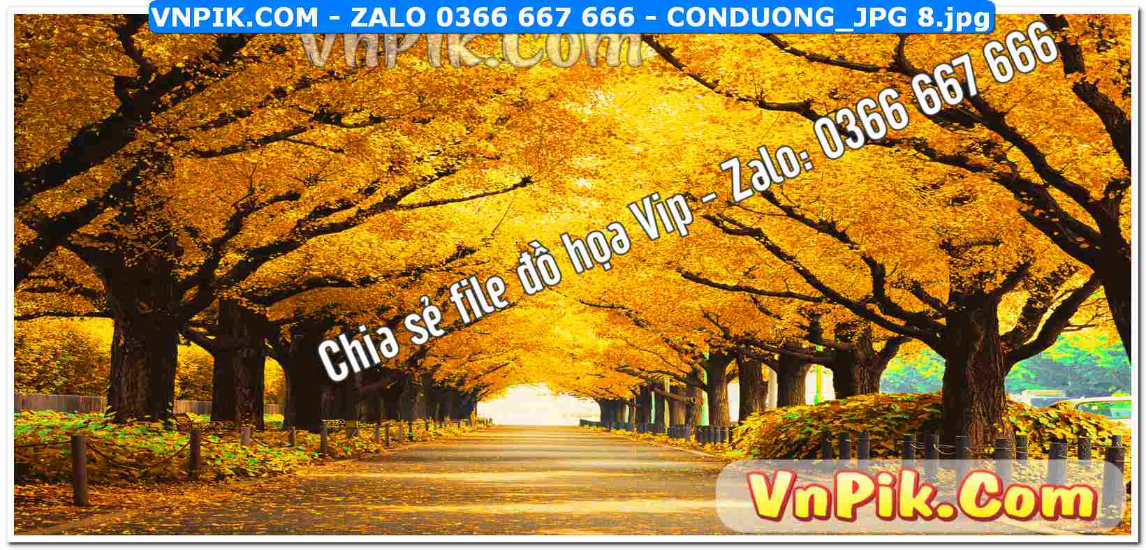 Mẫu tranh con đường file tranh treo tường mã file Conduong_jpg 8