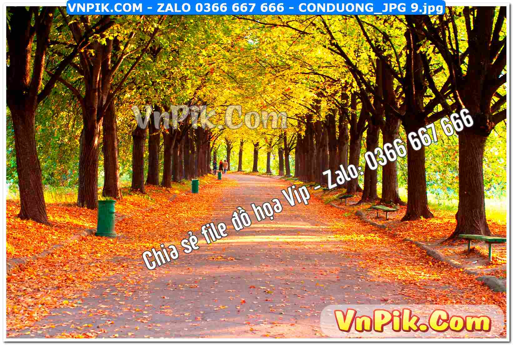 Mẫu tranh con đường file tranh treo tường mã file Conduong_jpg 9