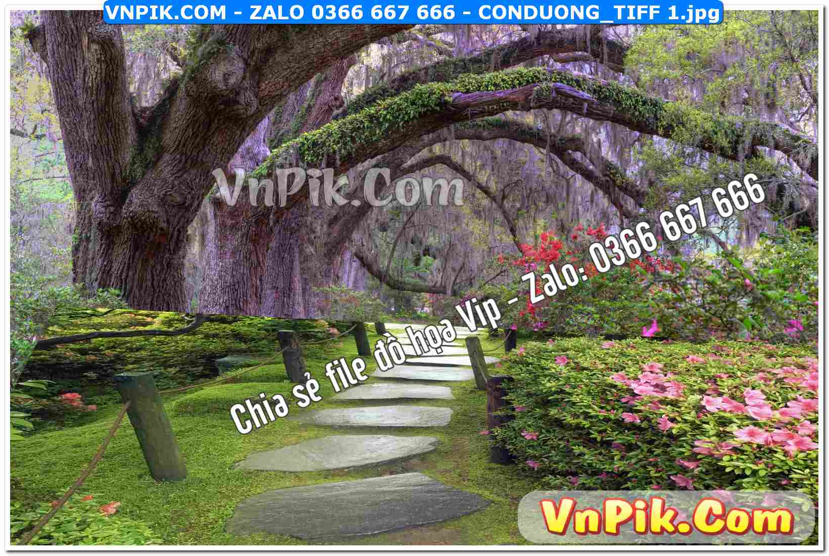 Mẫu tranh con đường file tranh treo tường mã file Conduong_TIFF 1