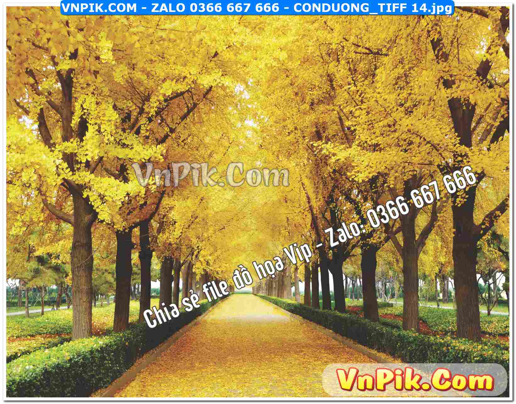 Mẫu tranh con đường file tranh treo tường mã file Conduong_TIFF 14