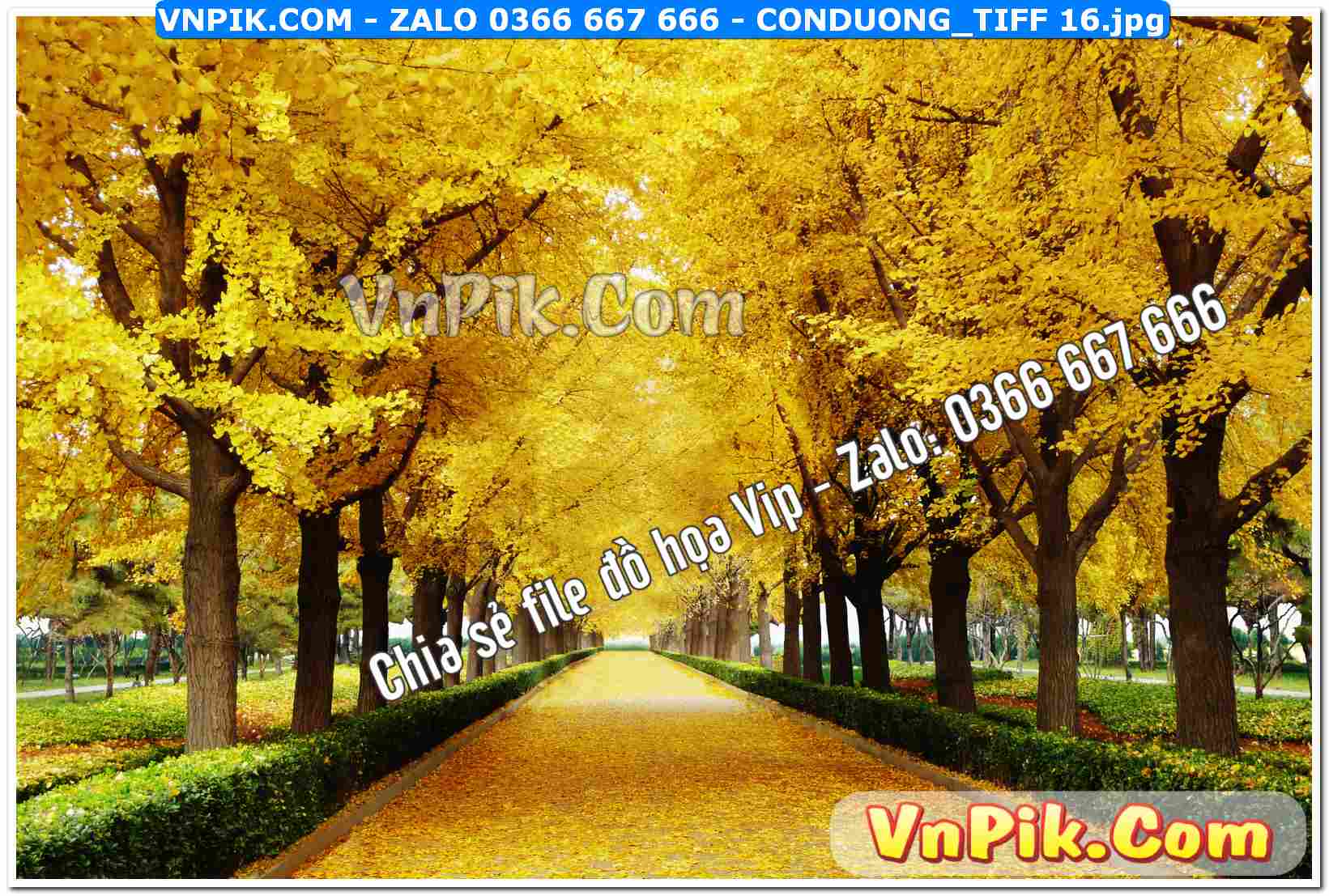 Mẫu tranh con đường file tranh treo tường mã file Conduong_TIFF 16