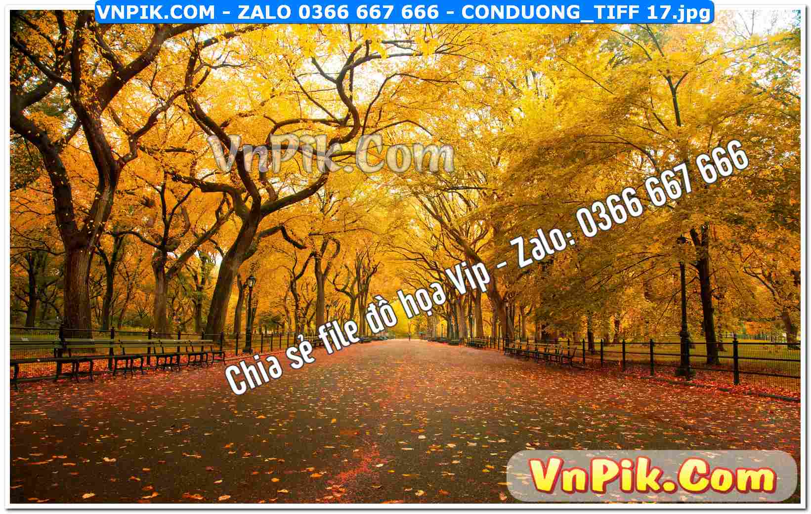 Mẫu tranh con đường file tranh treo tường mã file Conduong_TIFF 17