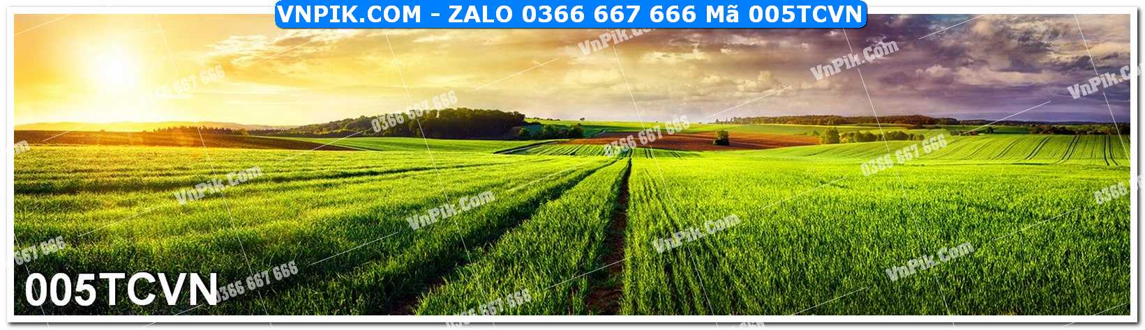 Mẫu tranh thắng cảnh việt nam mã file 005TCVN