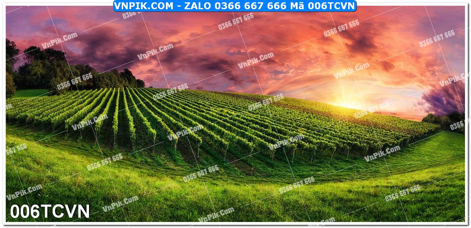 Mẫu tranh thắng cảnh việt nam mã file 006TCVN