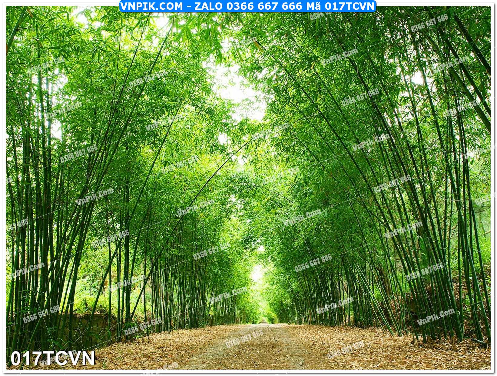 Mẫu tranh thắng cảnh việt nam mã file 017TCVN