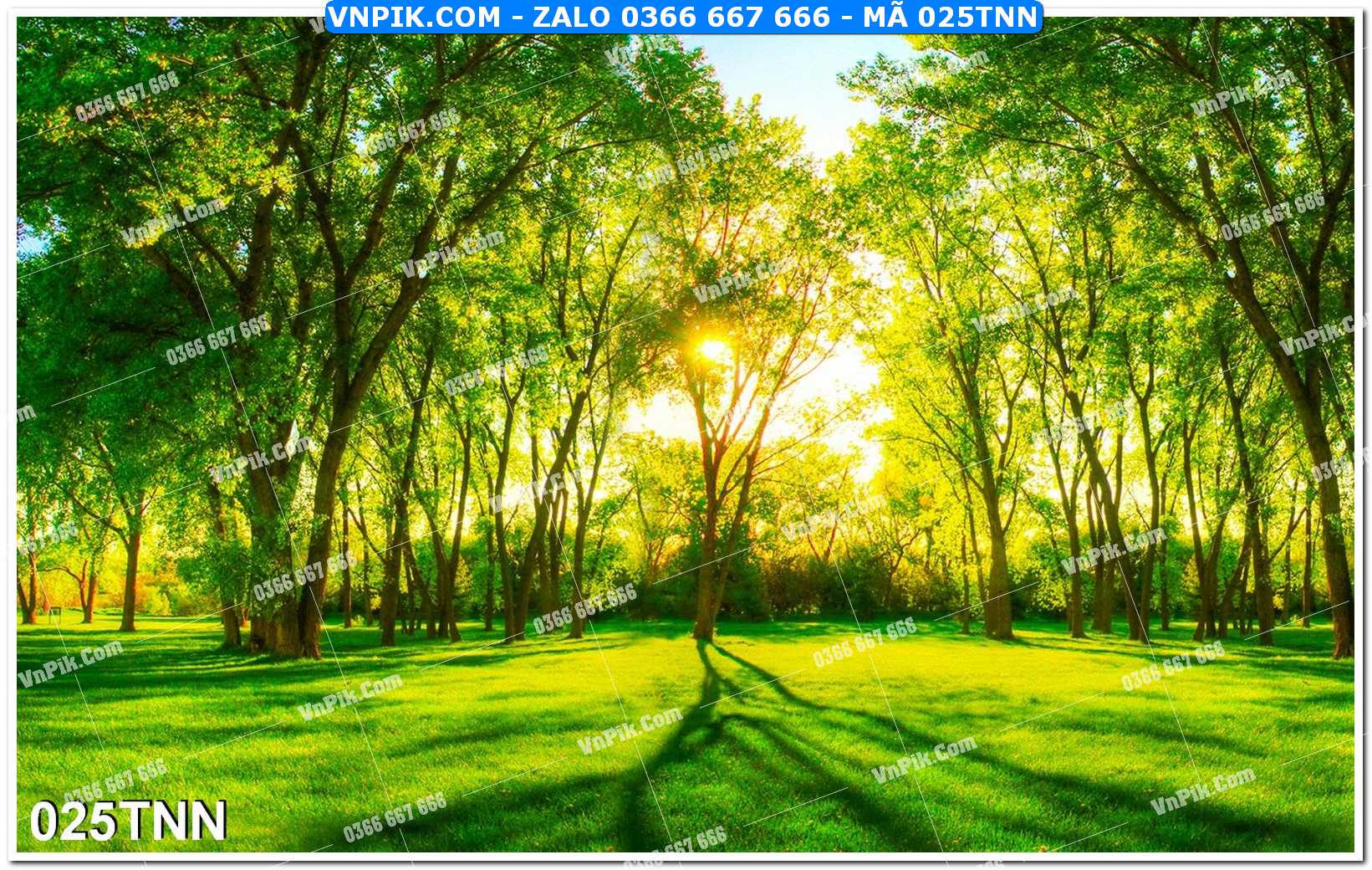 Tranh phong cảnh thiên nhiên mã file 025TNN