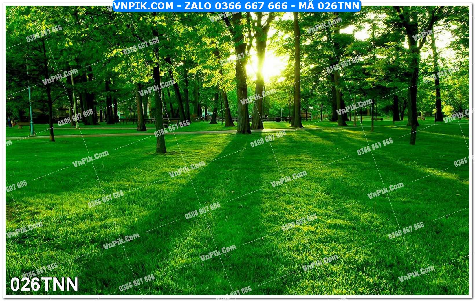 Tranh phong cảnh thiên nhiên mã file 026TNN