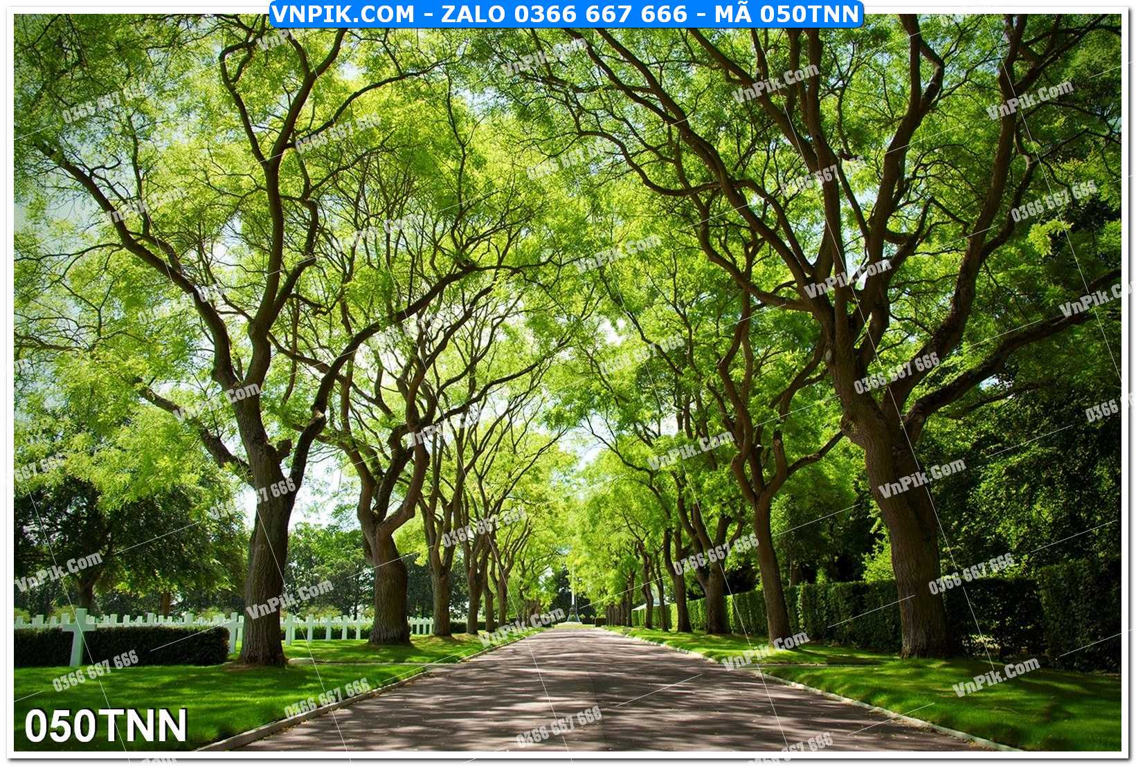 Tranh phong cảnh thiên nhiên mã file 050TNN