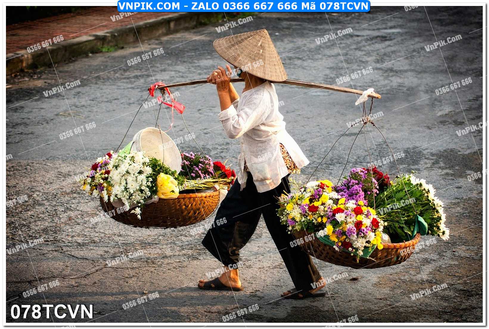 Mẫu tranh thắng cảnh việt nam mã file 078TCVN