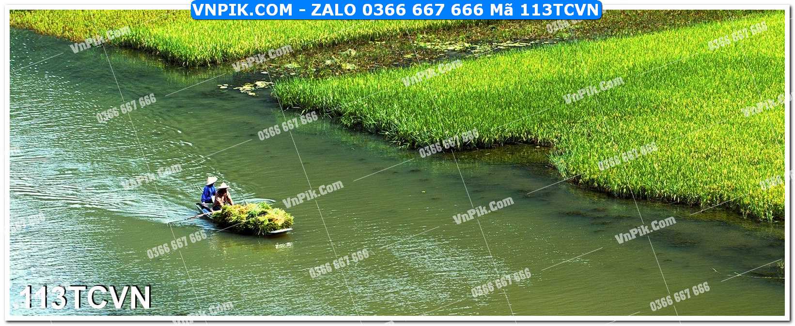 Mẫu tranh thắng cảnh việt nam mã file 113TCVN
