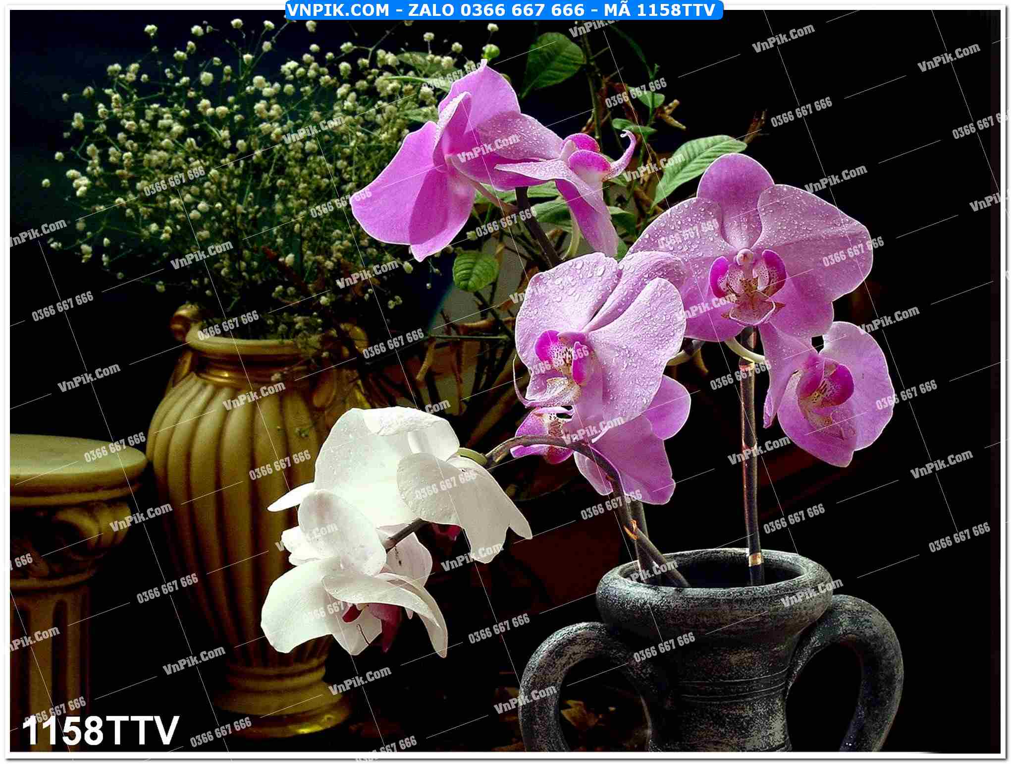 Tranh sơn dầu tĩnh vật hoa quả mã file 1158TTV