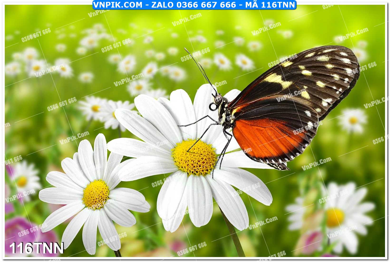 Tranh phong cảnh thiên nhiên mã file 116TNN
