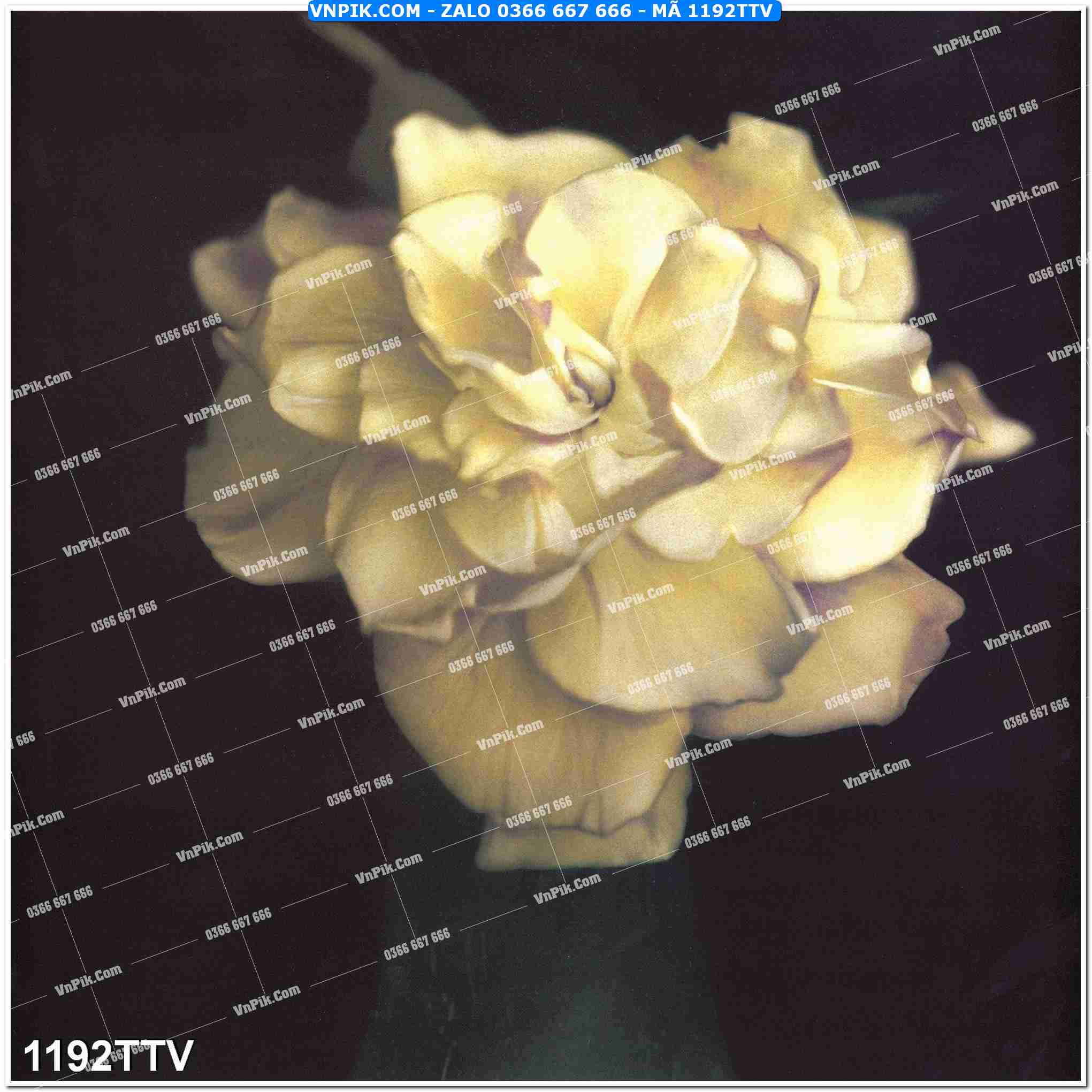 Tranh sơn dầu tĩnh vật hoa quả mã file 1192TTV