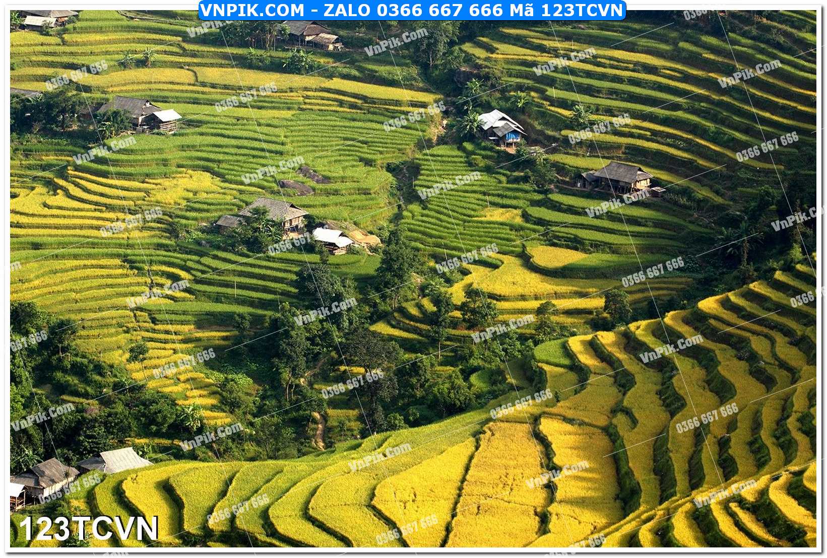 Mẫu tranh thắng cảnh việt nam mã file 123TCVN