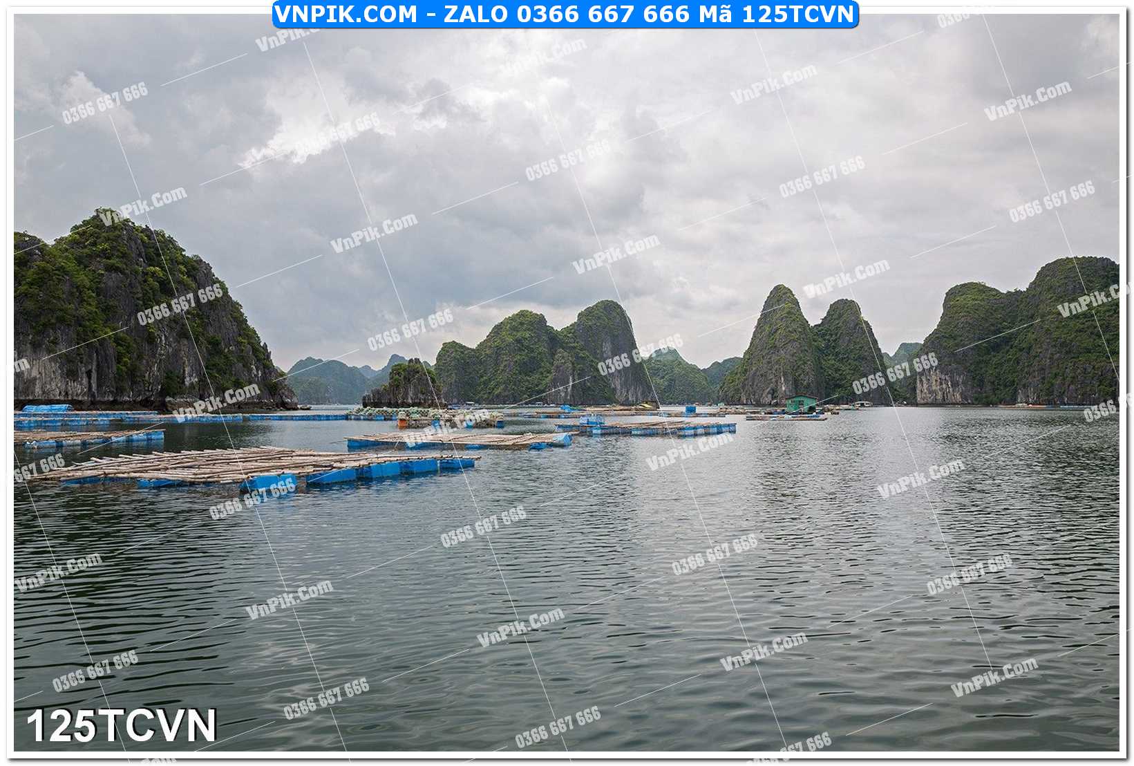 Mẫu tranh thắng cảnh việt nam mã file 125TCVN