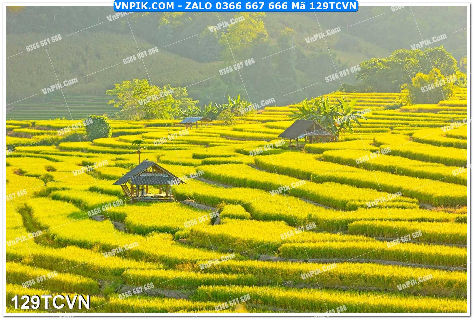 Mẫu tranh thắng cảnh việt nam mã file 129TCVN