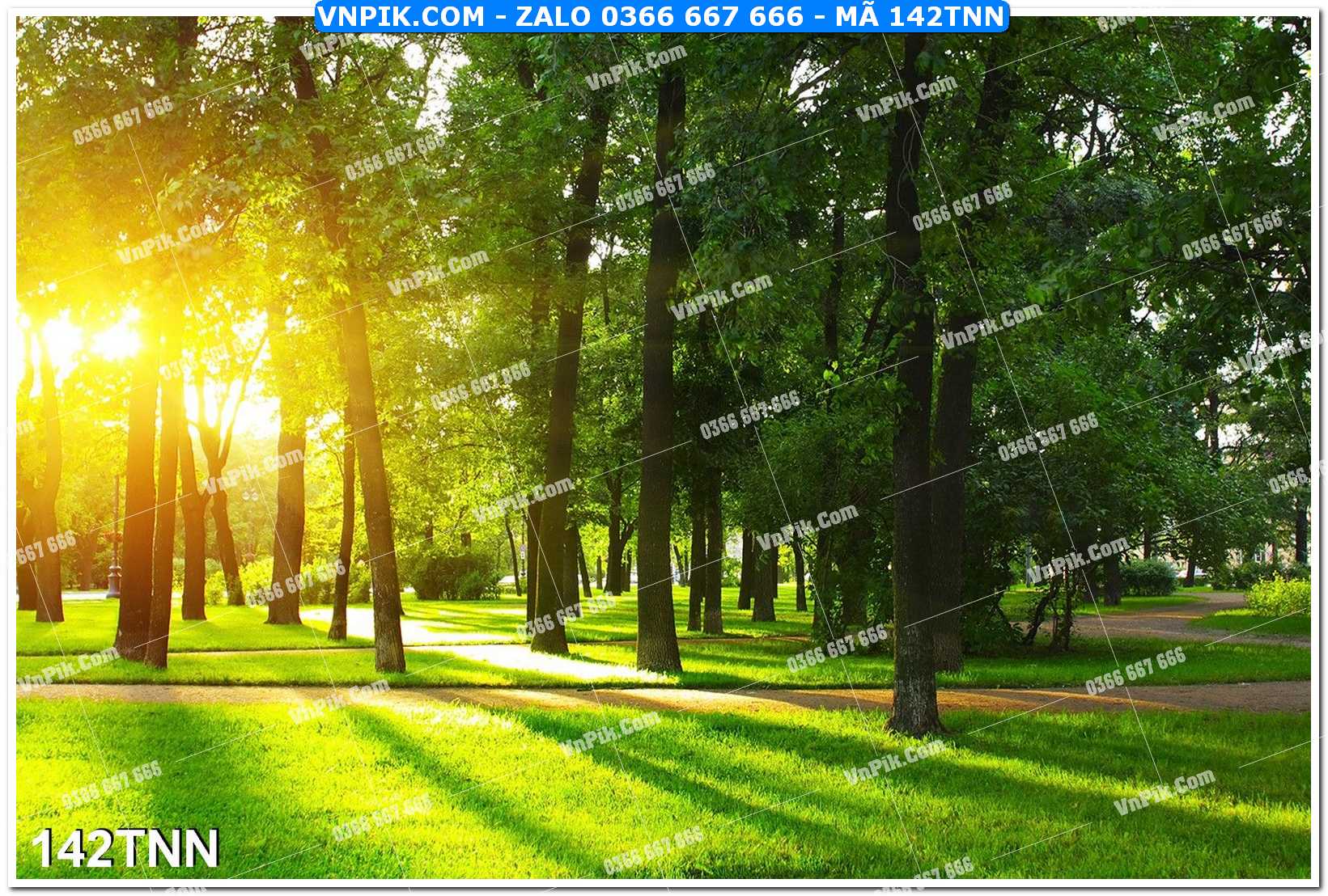 Tranh phong cảnh thiên nhiên mã file 142TNN