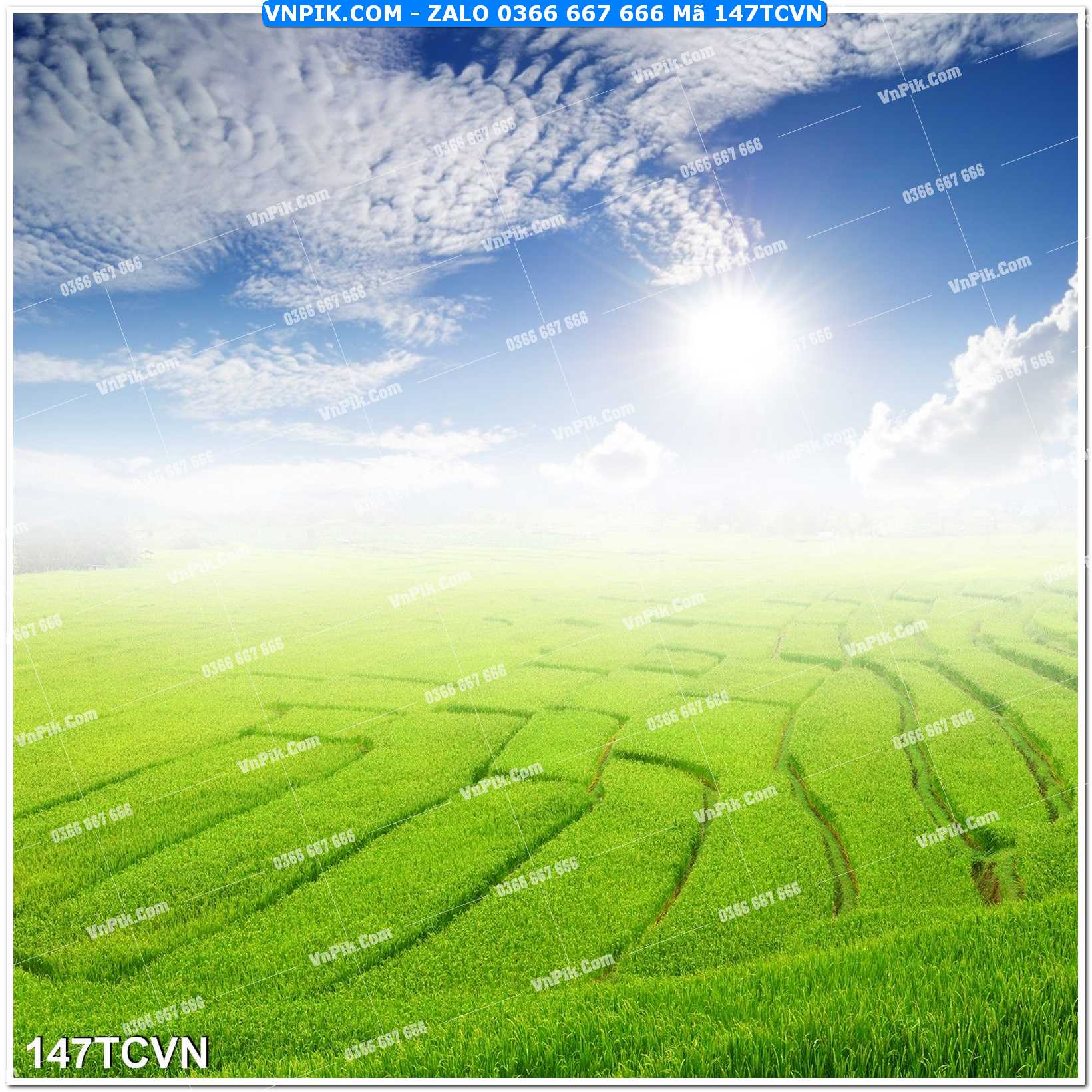 Mẫu tranh thắng cảnh việt nam mã file 147TCVN