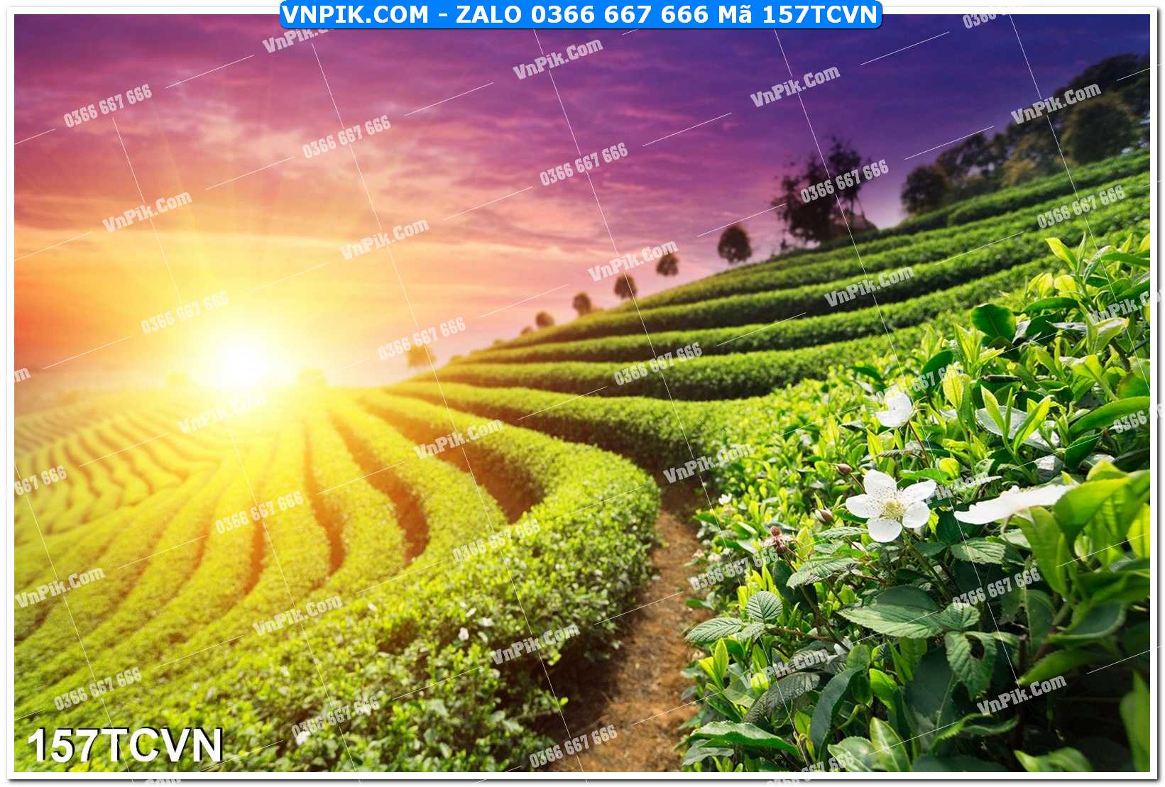 Mẫu tranh thắng cảnh việt nam mã file 157TCVN