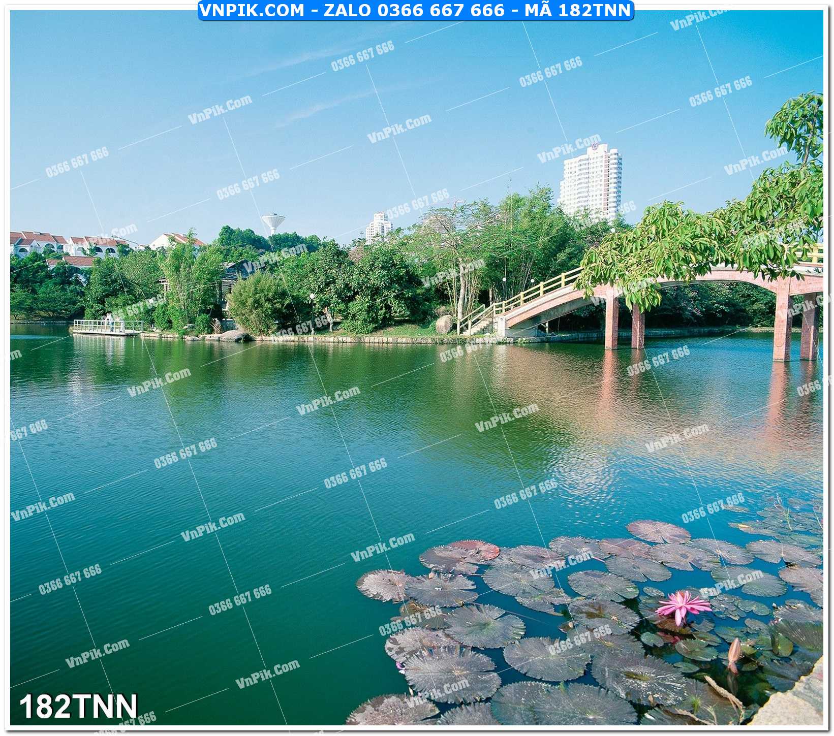 Tranh phong cảnh thiên nhiên mã file 182TNN