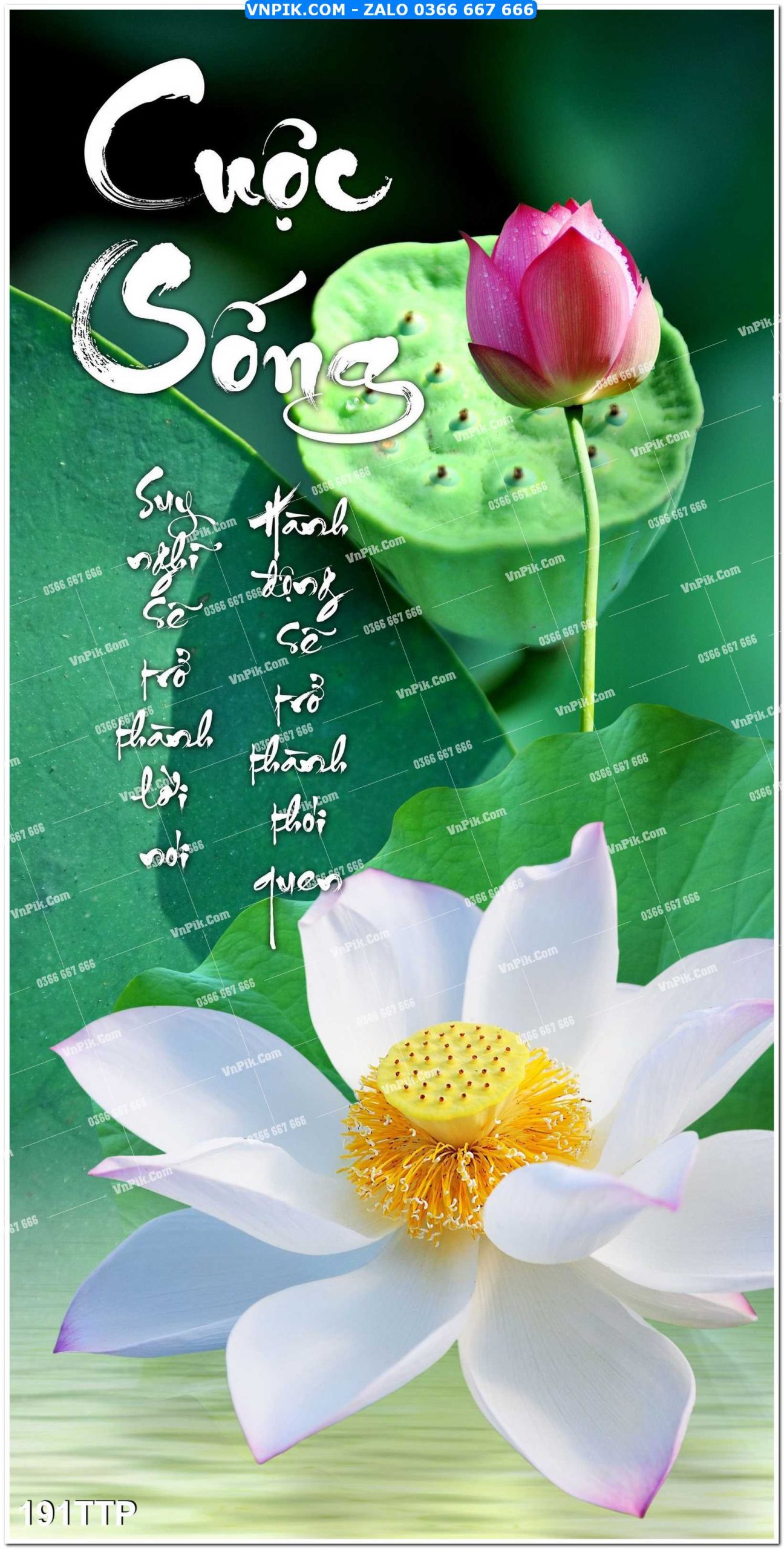 Tranh chữ thư pháp nghệ thuật 191TTP