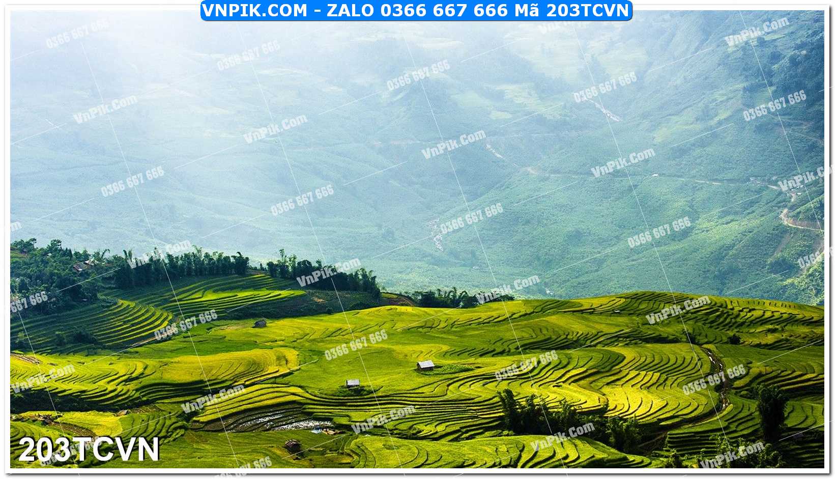 Mẫu tranh thắng cảnh việt nam mã file 203TCVN