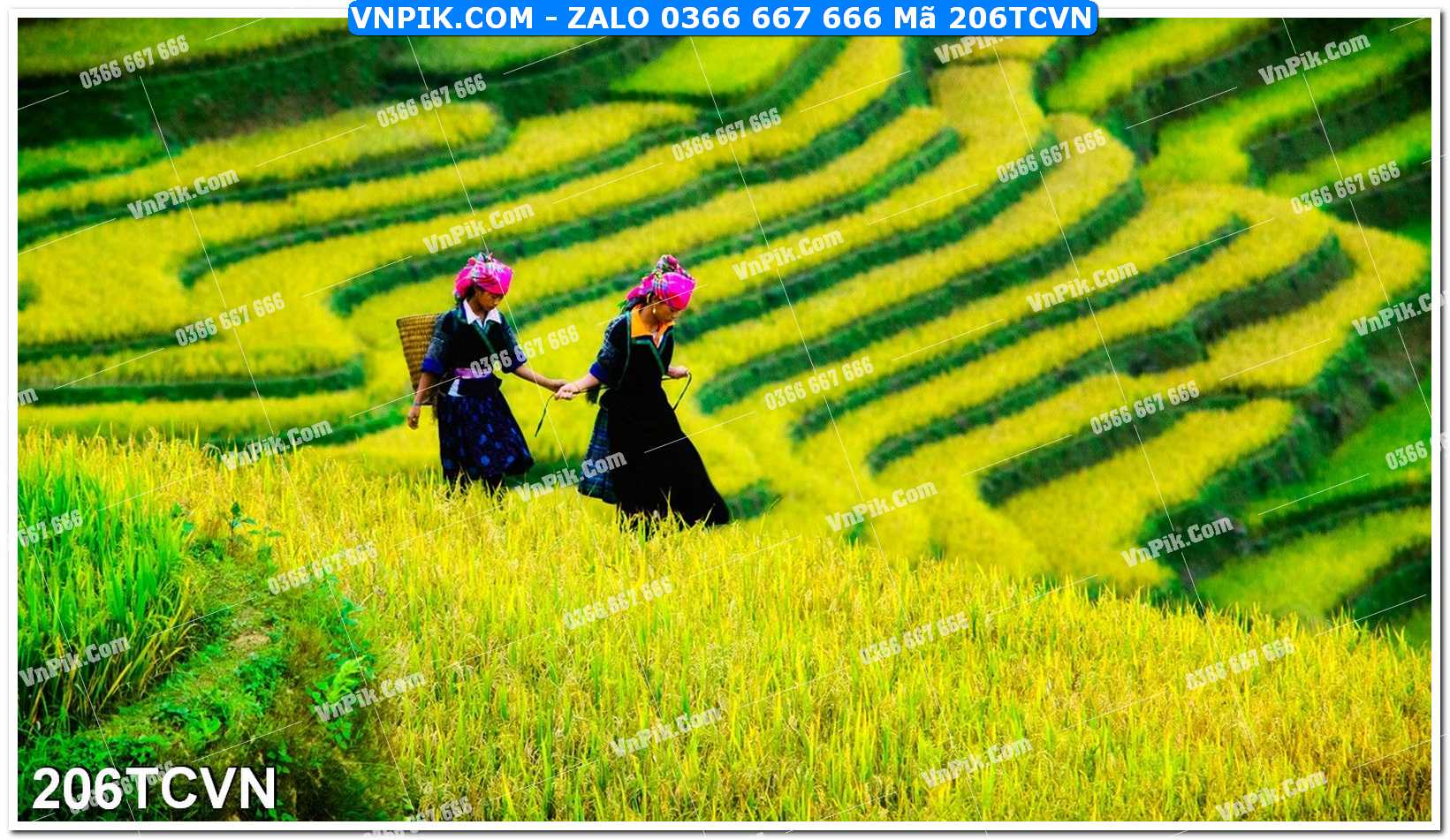 Mẫu tranh thắng cảnh việt nam mã file 206TCVN