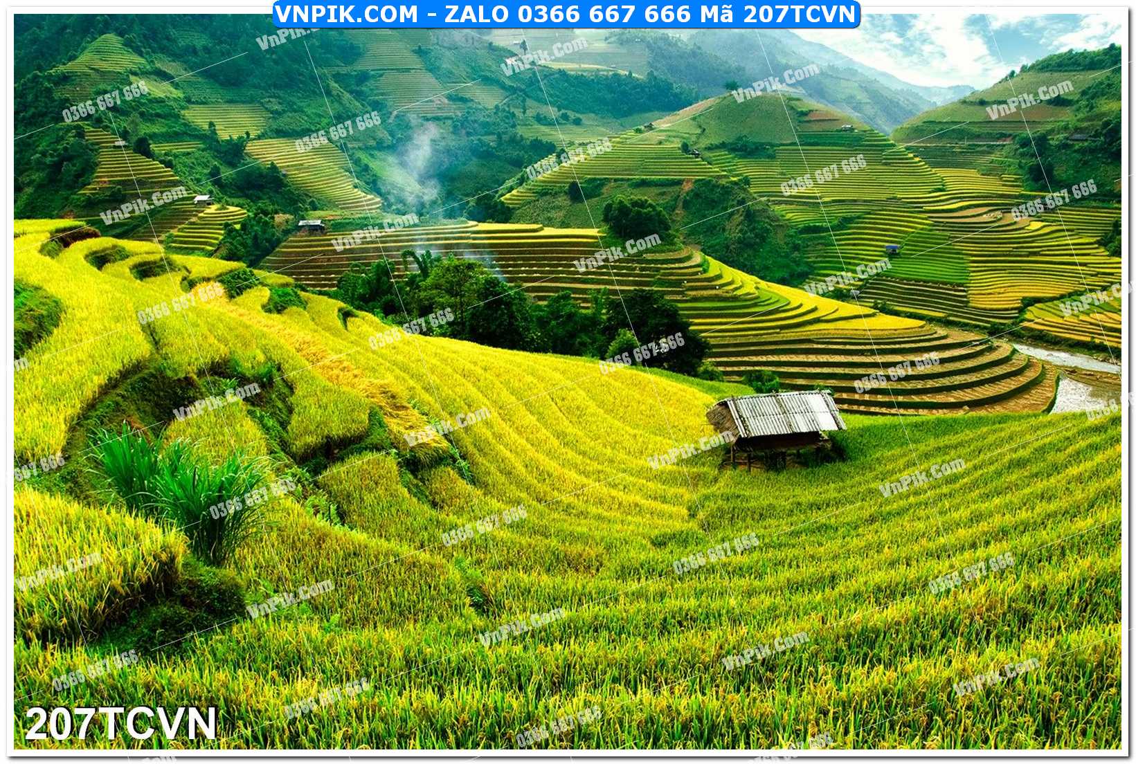 Mẫu tranh thắng cảnh việt nam mã file 207TCVN