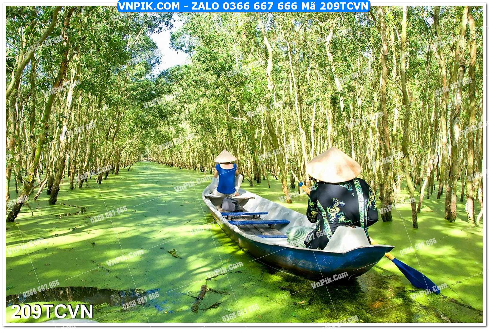 Mẫu tranh thắng cảnh việt nam mã file 209TCVN
