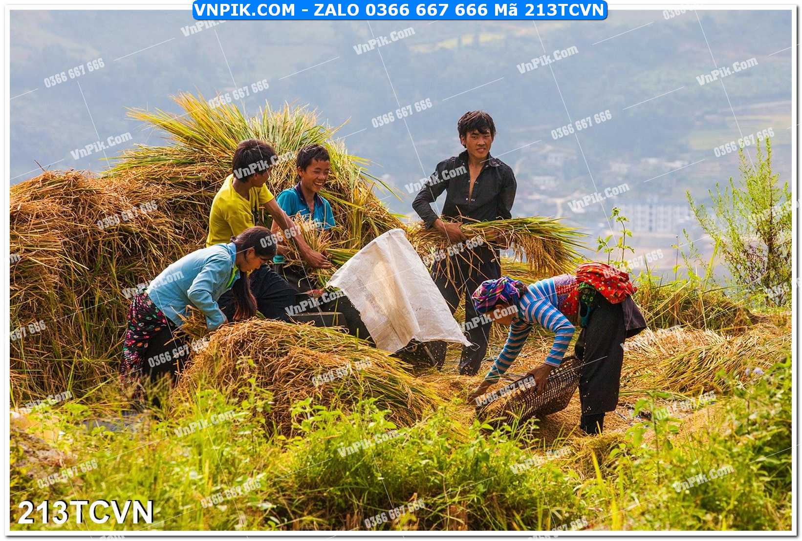 Mẫu tranh thắng cảnh việt nam mã file 213TCVN