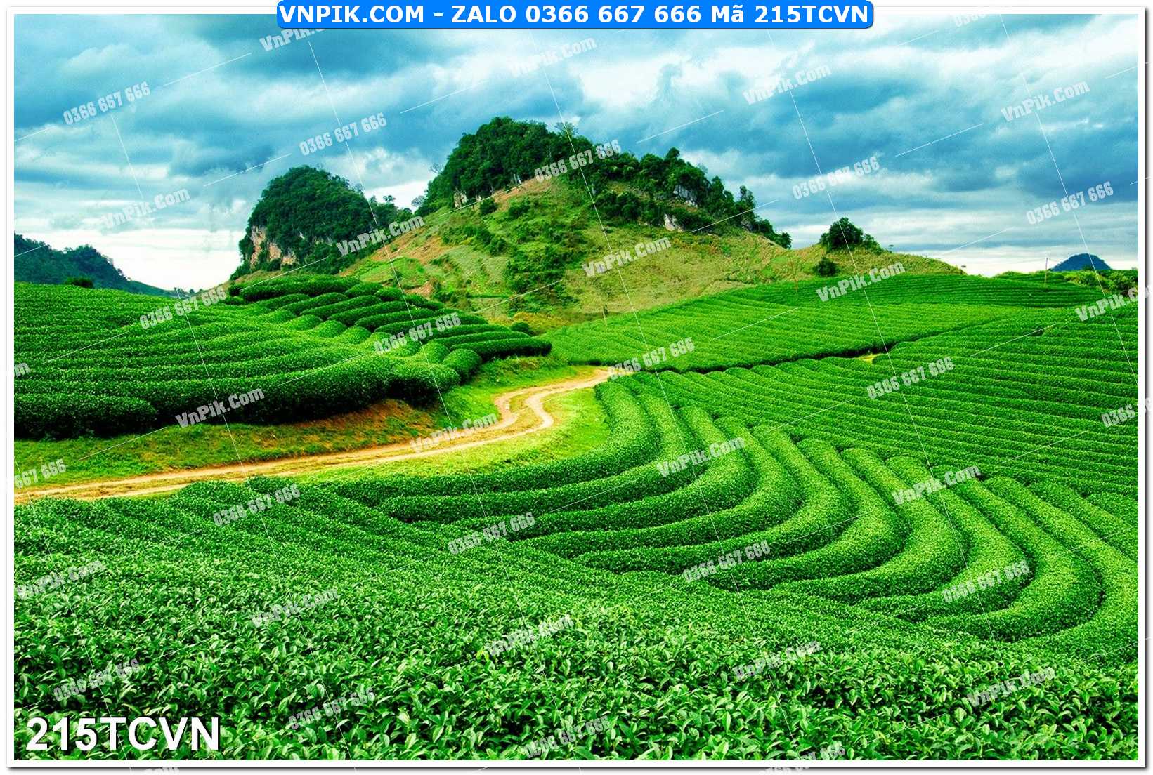 Mẫu tranh thắng cảnh việt nam mã file 215TCVN