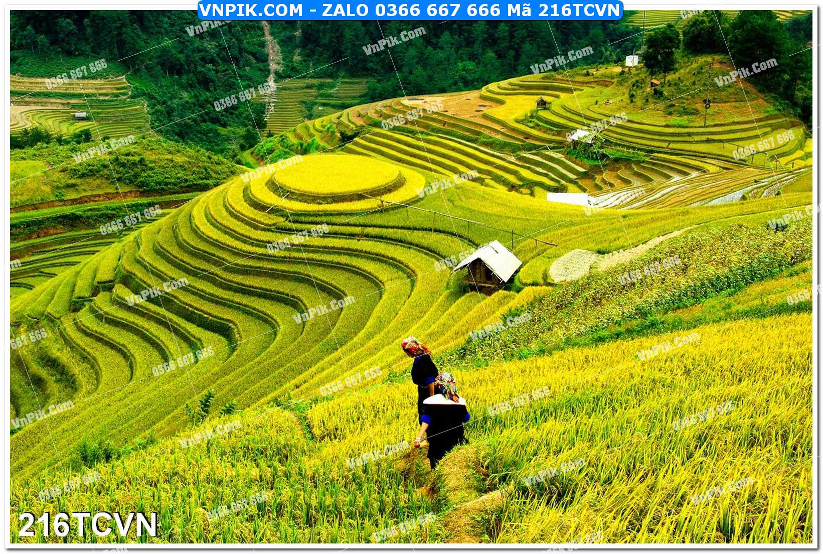 Mẫu tranh thắng cảnh việt nam mã file 216TCVN
