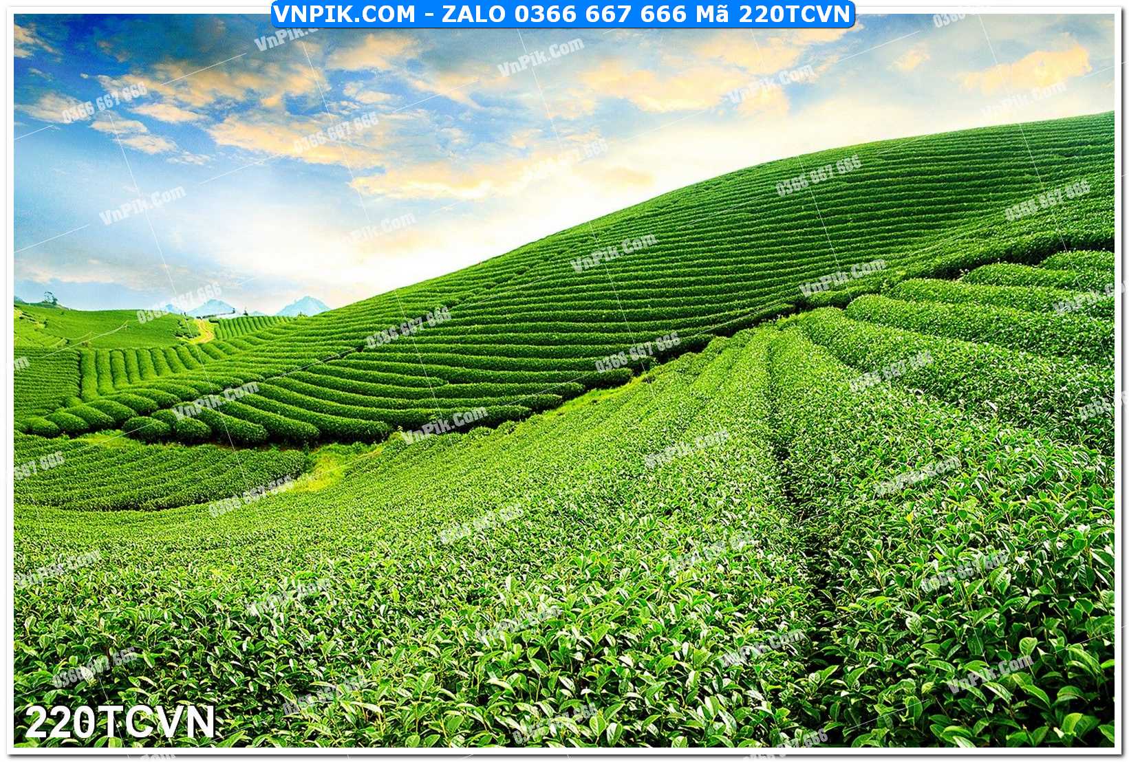 Mẫu tranh thắng cảnh việt nam mã file 220TCVN