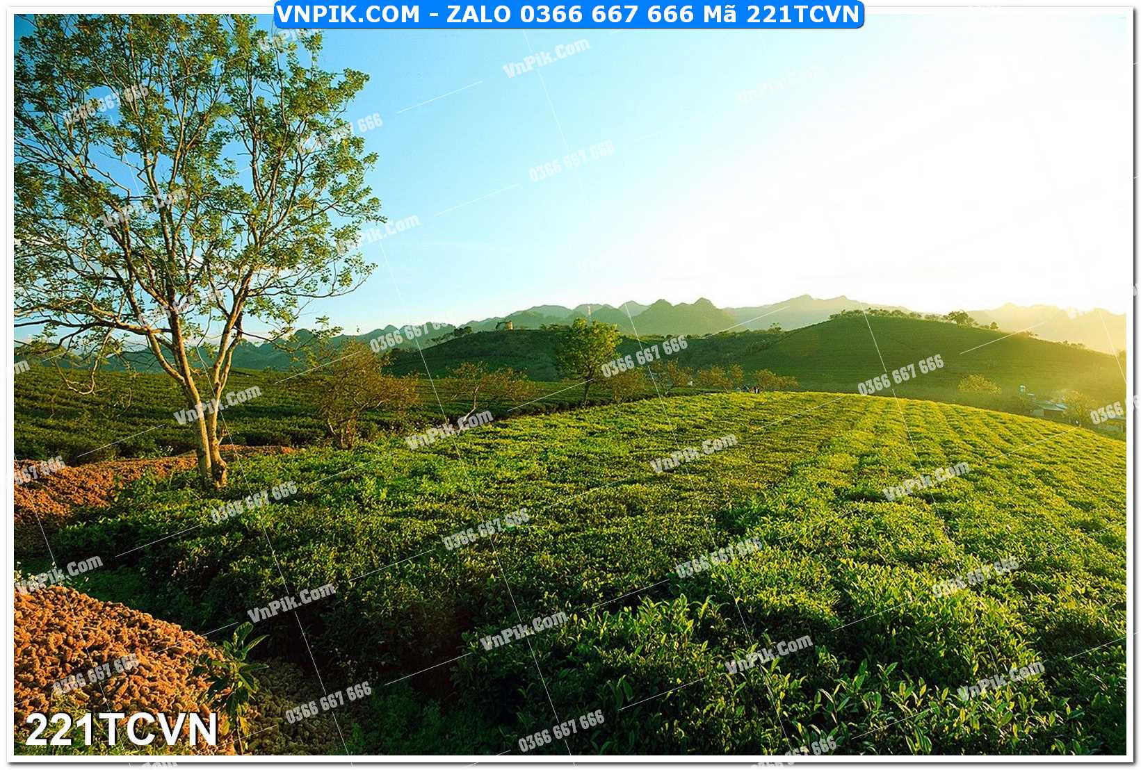 Mẫu tranh thắng cảnh việt nam mã file 221TCVN